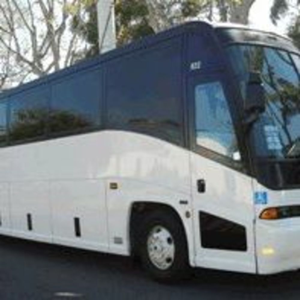 Meet your Posher, Geegee